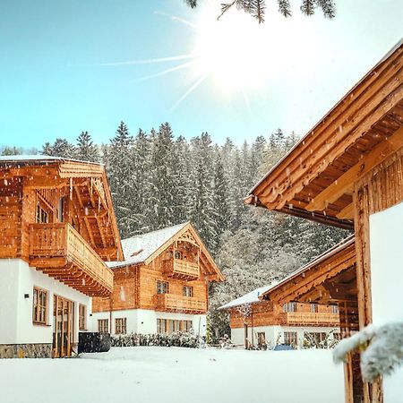 Naturchalets am Gradenbach Haus im Ennstal Exterior foto