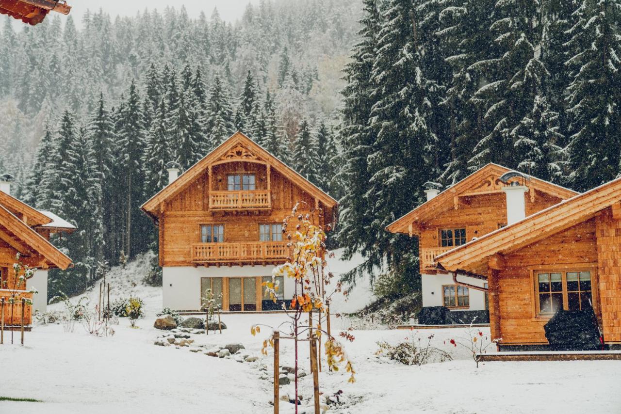 Naturchalets am Gradenbach Haus im Ennstal Exterior foto